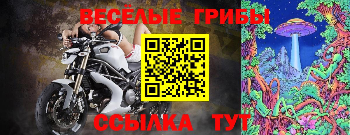 Реж  Псилоцибиновые грибы GOLDEN TEACHER  Галлюциногенные грибы мухоморы  Вход с VPN 