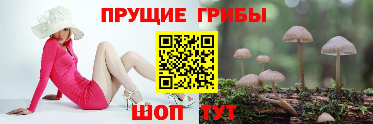 Галлюциногенные грибы ЛСД Реж